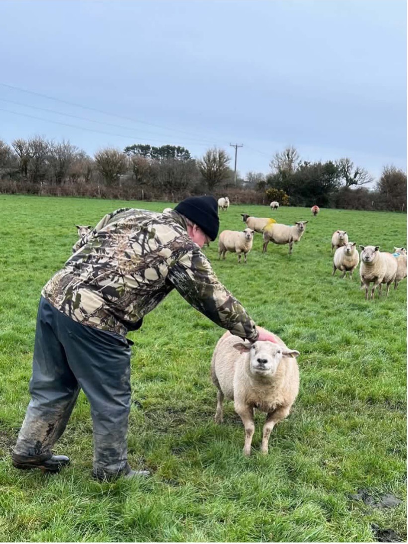 Geoff Henwood patting a sheep on the head