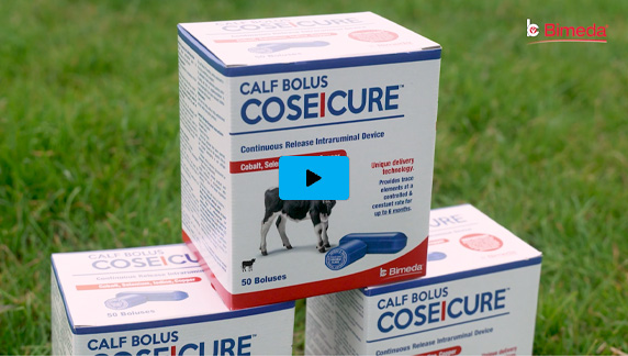 Click the image to watch the video how to administer a coseicure calf bolus