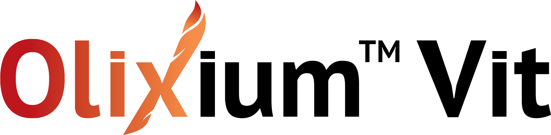 >olixium vit logo</a>